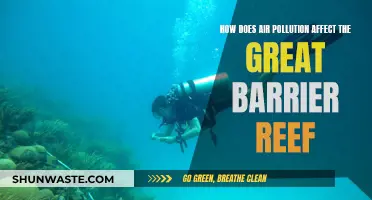 Air Pollution's Impact on the Great Barrier Reef