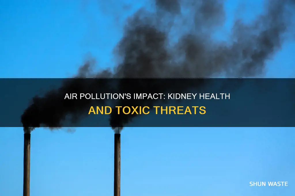 how does air pollution affect the kidneys