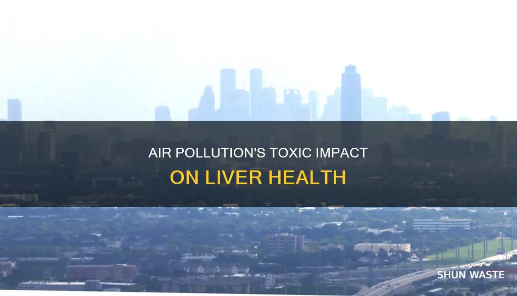 how does air pollution affect the liver