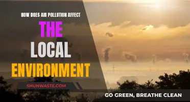 Air Pollution's Impact: A Local Environment's Story