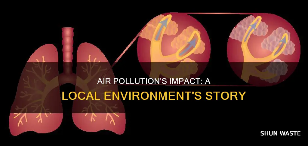 how does air pollution affect the local environment