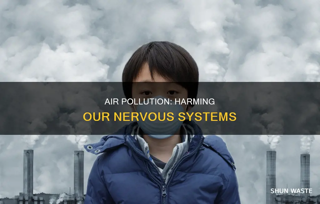 how does air pollution affect the nervous system