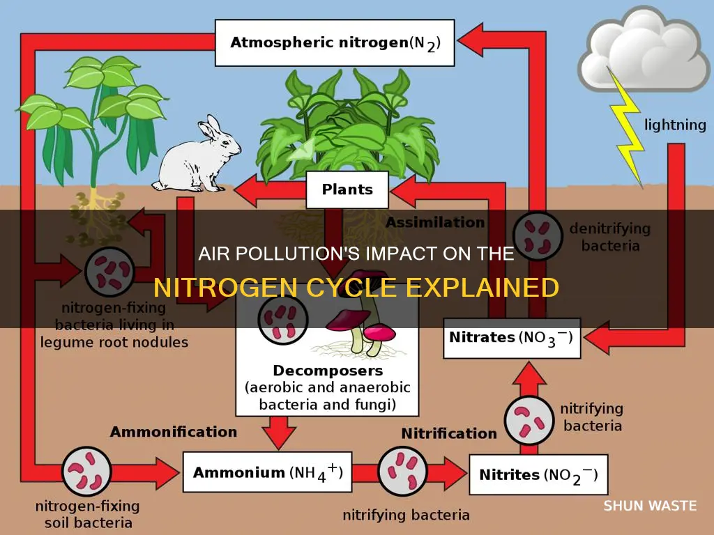 how does air pollution affect the nitrogen cycle