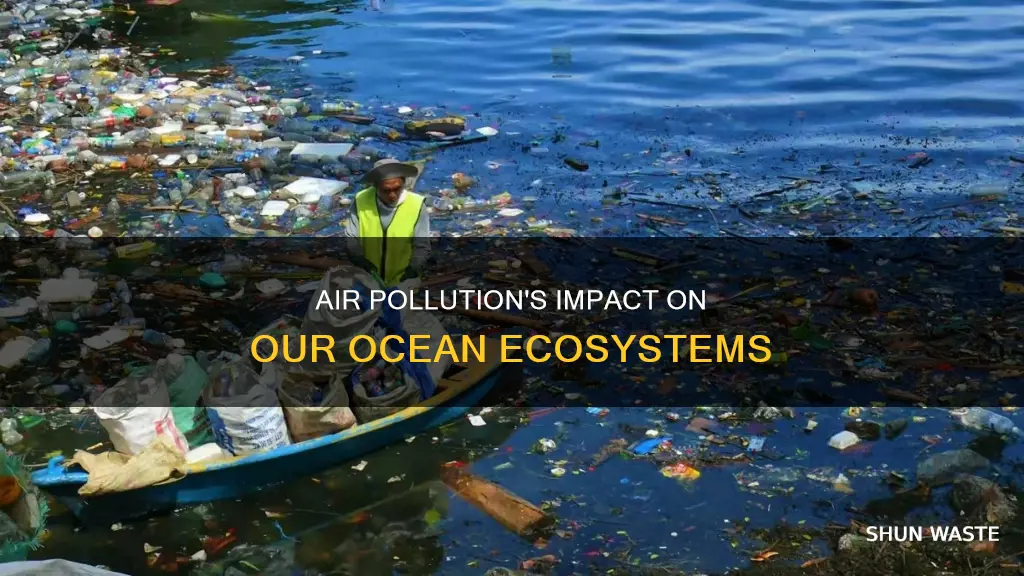 how does air pollution affect the ocean