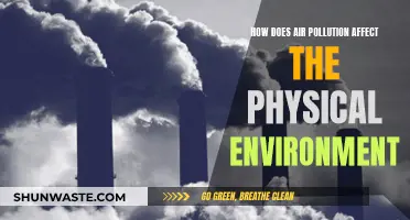 Air Pollution's Impact on the Physical Environment