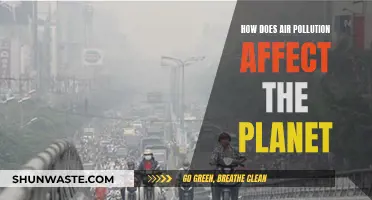 Air Pollution: Damaging Our Planet's Health