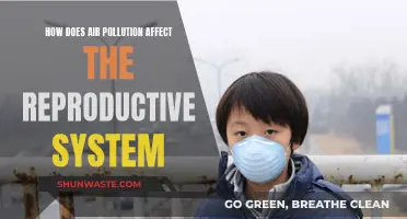 Air Pollution: Harming Human Reproductive Health and Future