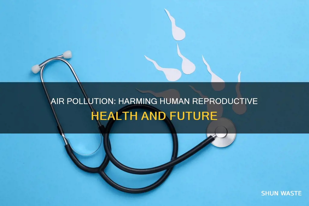 how does air pollution affect the reproductive system