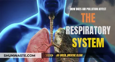 Air Pollution's Impact on Respiratory Health