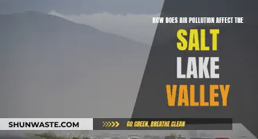 Salt Lake Valley: Air Pollution's Impact and Effects