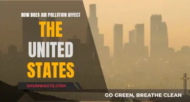 Air Pollution's Impact: A US Health Crisis