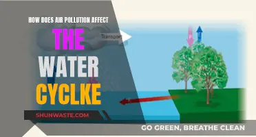 Air Pollution's Impact on the Water Cycle