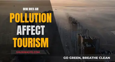 Air Pollution's Impact on Tourism Destinations and Visitor Health