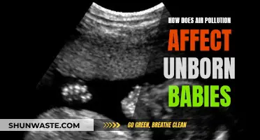 Air Pollution's Impact on Unborn Babies: A Concerned Look