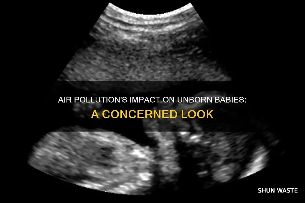 how does air pollution affect unborn babies