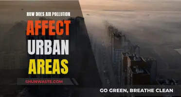 Air Pollution's Impact: Urban Areas' Plight