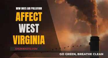 Air Pollution's Impact on West Virginia's Environment and Health