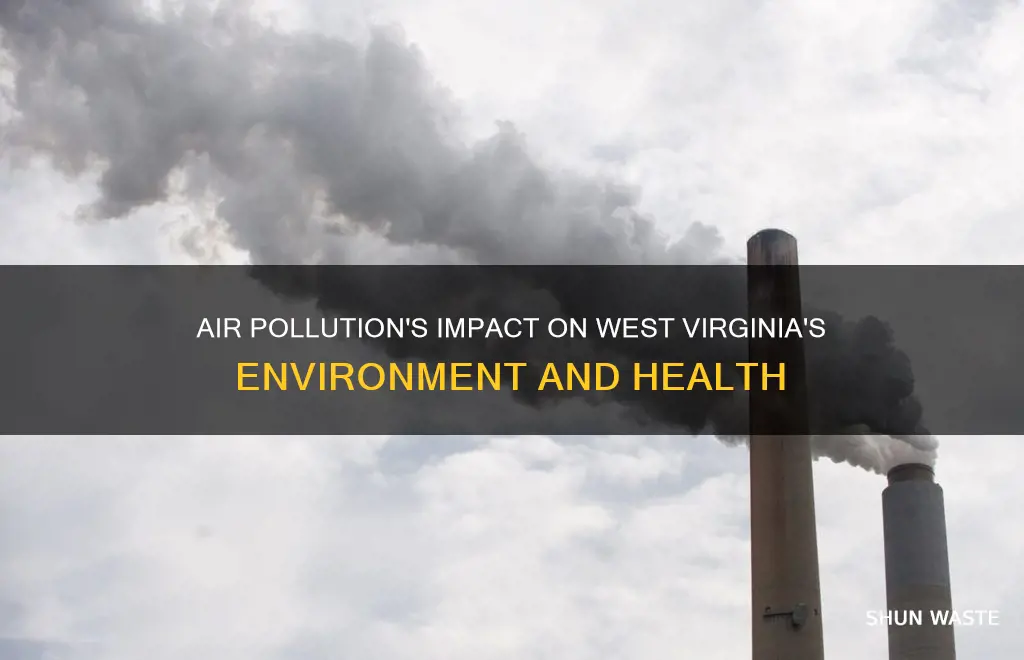 how does air pollution affect west virginia