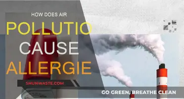 Unveiling the Allergy-Inducing Secrets of Air Pollution