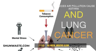 Breathing Trouble: Air Pollution's Impact on Asthma and Lung Cancer