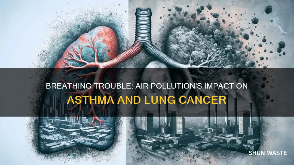 how does air pollution cause asthma and lung cancer