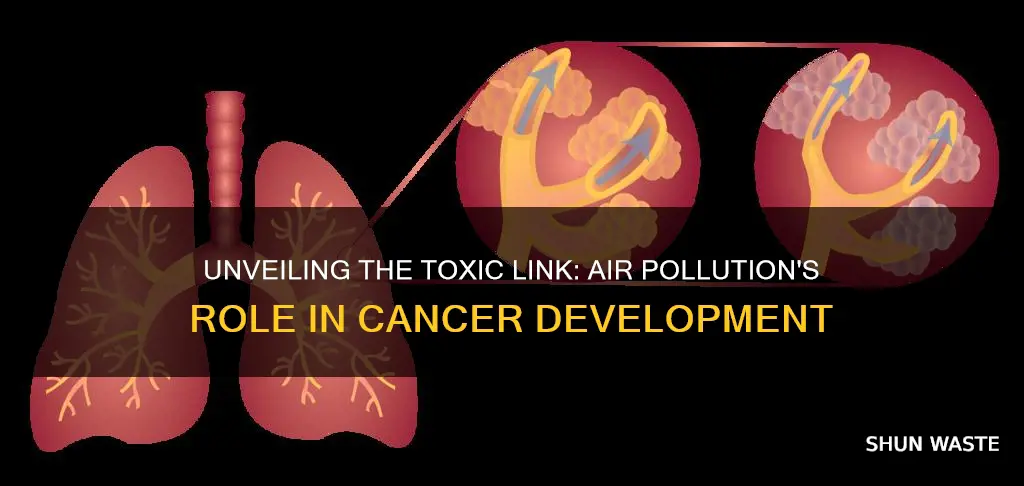 how does air pollution cause cancer