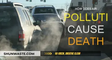 The Silent Killer: How Air Pollution Takes Lives