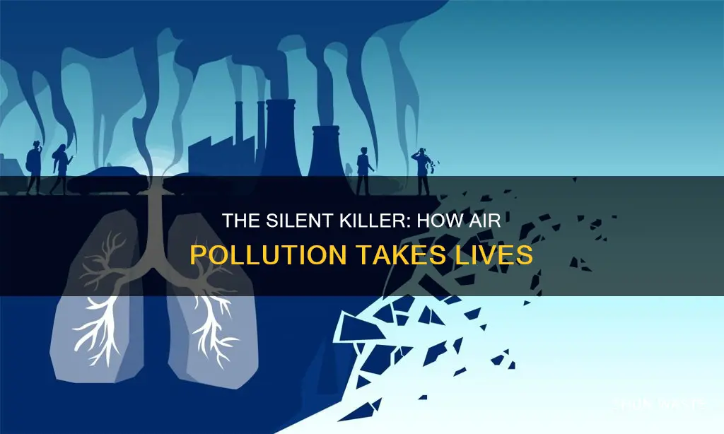 how does air pollution cause death