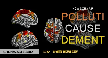 Unveiling the Toxic Link: Air Pollution's Role in Dementia Development