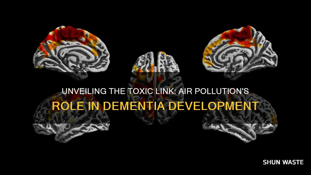 how does air pollution cause dementia