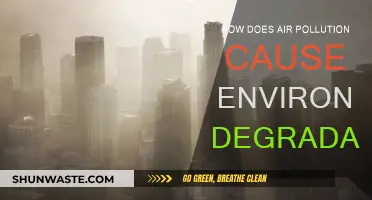 Air Pollution's Toxic Impact: Environmental Degradation Explained