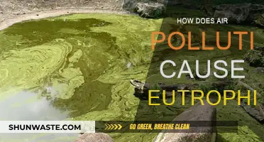 Air Pollution's Hidden Impact: Unveiling the Link to Eutrophication