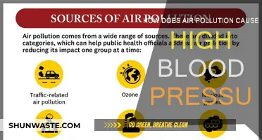 Unveiling the Link: Air Pollution's Impact on Blood Pressure