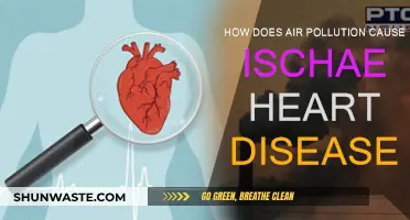 Unveiling the Link: Air Pollution's Role in Ischaemic Heart Disease