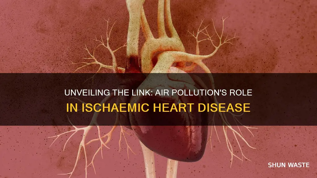 how does air pollution cause ischaemic heart disease