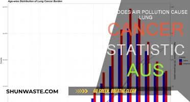 Air Pollution's Impact: Lung Cancer Statistics in Australia