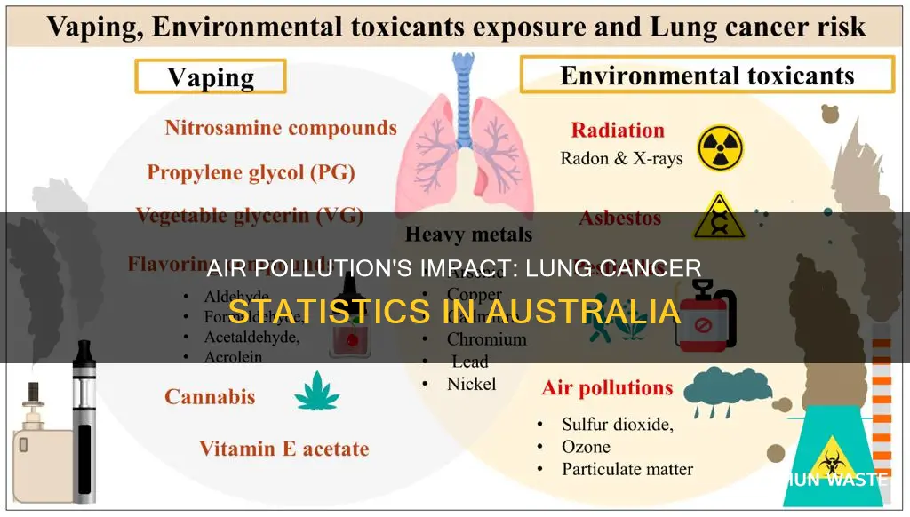 how does air pollution cause lung cancer statistics aus