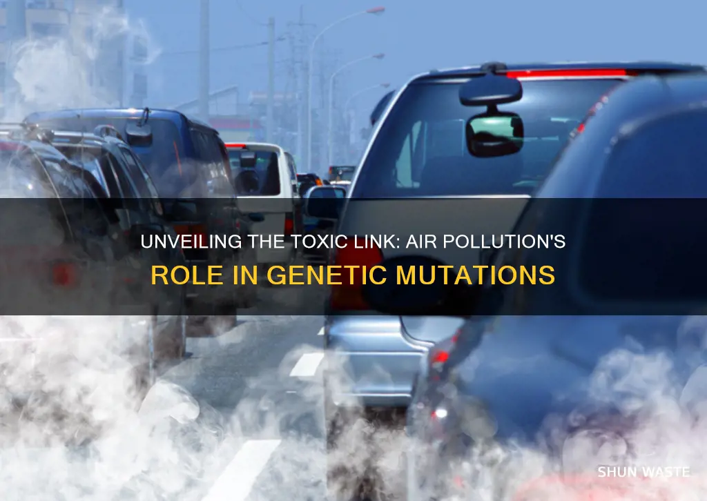 how does air pollution cause mutations