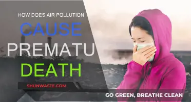 Air Pollution's Deadly Impact: Unveiling the Premature Death Connection