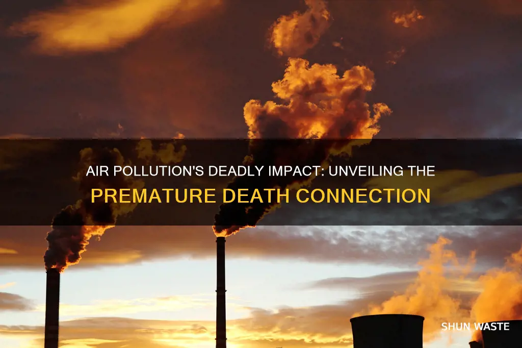 how does air pollution cause premature death