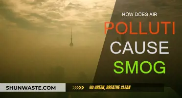 Unveiling the Smog: Air Pollution's Impact on Our Visibility