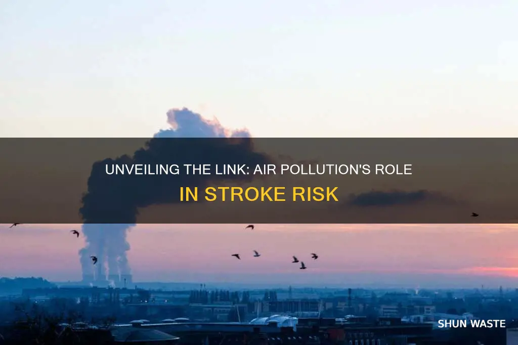 how does air pollution cause strokes