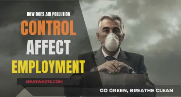 Air Pollution Control: Employment Impact and Opportunities