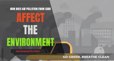 Cars' Air Pollution: Damaging Our Environment and Health