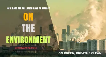Air Pollution's Devastating Effects on Our Environment and Ecosystems