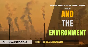Air Pollution's Devastating Effects on Health and Our Environment