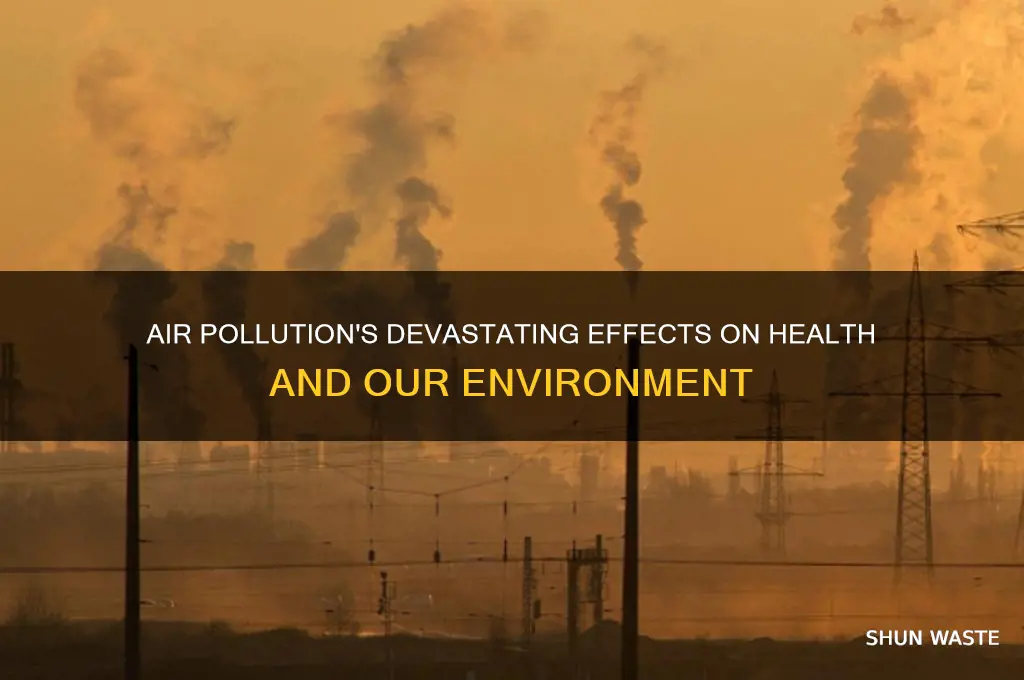 how does air pollution impact human health and the environment