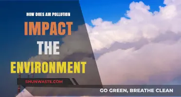 Air Pollution's Devastating Effects on Our Environment and Ecosystems