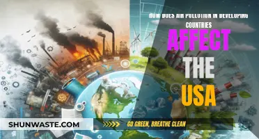 Air Pollution's Global Reach: Impact on the USA