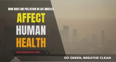 Air Pollution in LA: Damaging Human Health?